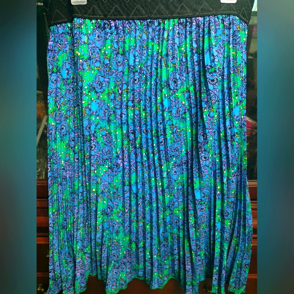 Lularoe Jill skirt